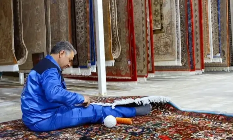 ریشه زنی فرش در قالیشویی هفت تیر